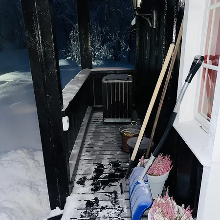 Lun Og Koselig Pa Fjellet, Med Badstu Feriehus
